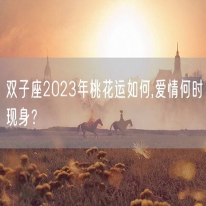 双子座2023年桃花运如何,爱情何时现身？