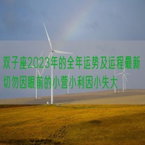 双子座2023年的全年运势及运程最新 切勿因眼前的小营小利因小失大