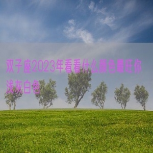 双子座2023年看看什么颜色最旺你  浅灰白色