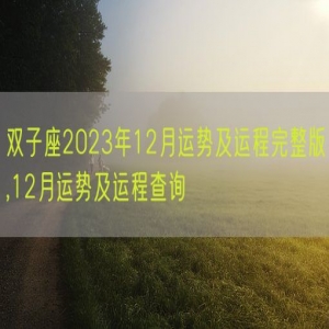 双子座2023年12月运势及运程完整版,12月运势及运程查询