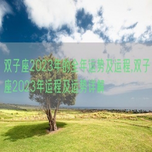 双子座2023年的全年运势及运程,双子座2023年运程及运势详解