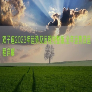 双子座2023年运势及运程完整版,全年运势及运程详解