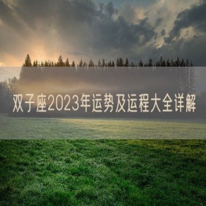 双子座2023年运势及运程大全详解