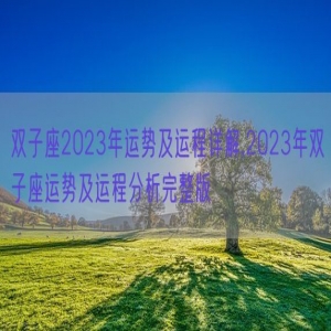双子座2023年运势及运程详解,2023年双子座运势及运程分析完整版