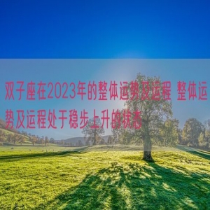 双子座在2023年的整体运势及运程 整体运势及运程处于稳步上升的状态