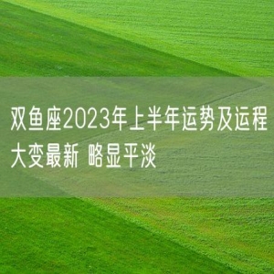 双鱼座2023年上半年运势及运程大变最新 略显平淡