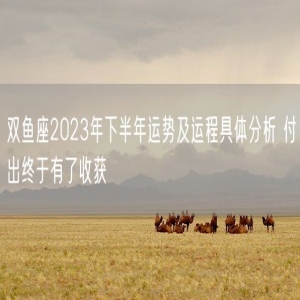 双鱼座2023年下半年运势及运程具体分析 付出终于有了收获