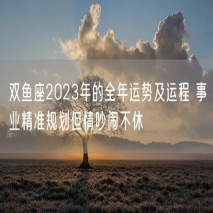 双鱼座2023年的全年运势及运程 事业精准规划但情吵闹不休