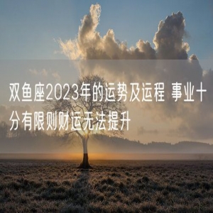 双鱼座2023年的运势及运程 事业十分有限则财运无法提升