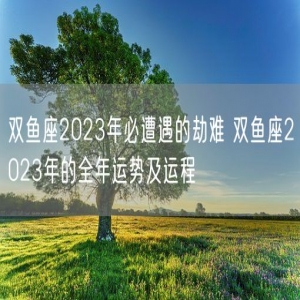 双鱼座2023年必遭遇的劫难 双鱼座2023年的全年运势及运程