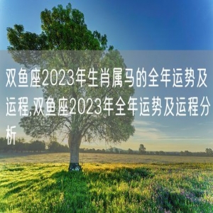 双鱼座2023年生肖属马的全年运势及运程,双鱼座2023年全年运势及运程分析