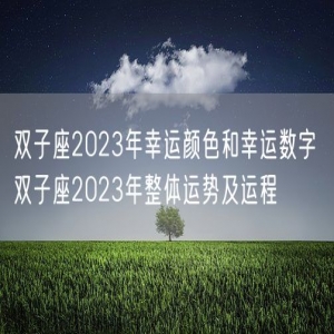 双子座2023年幸运颜色和幸运数字 双子座2023年整体运势及运程