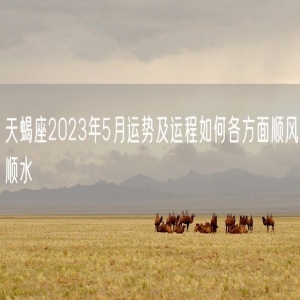 天蝎座2023年5月运势及运程如何各方面顺风顺水