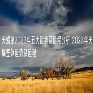 天蝎座2023年五大运势及运程分析 2023年天蝎整体运势及运程 