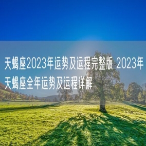 天蝎座2023年运势及运程完整版 2023年天蝎座全年运势及运程详解
