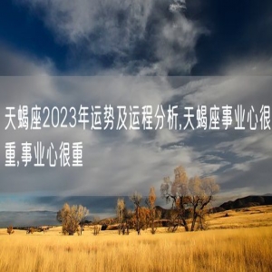 天蝎座2023年运势及运程分析,天蝎座事业心很重,事业心很重