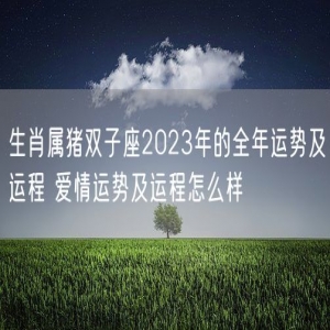 生肖属猪双子座2023年的全年运势及运程 爱情运势及运程怎么样