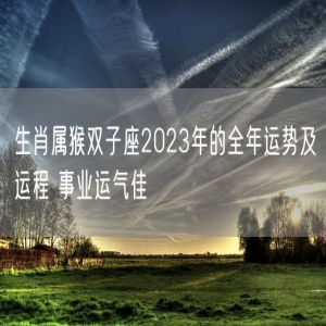 生肖属猴双子座2023年的全年运势及运程 事业运气佳