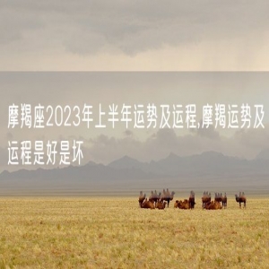 摩羯座2023年上半年运势及运程,摩羯运势及运程是好是坏