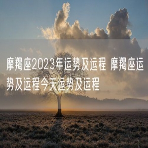 摩羯座2023年运势及运程 摩羯座运势及运程今天运势及运程