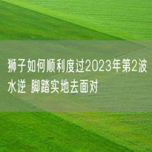 狮子如何顺利度过2023年第2波水逆 脚踏实地去面对