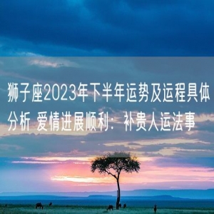 狮子座2023年下半年运势及运程具体分析 爱情进展顺利：补贵人运法事