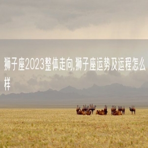 狮子座2023整体走向,狮子座运势及运程怎么样