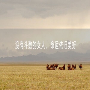 没有斗数的女人，命运依旧美好