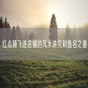 红点颏飞进店铺的风水讲究和选名之道