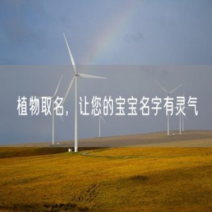 植物取名，让您的宝宝名字有灵气