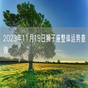 2023年11月19日狮子座整体运势查询