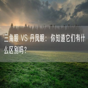 三角眼 VS 丹凤眼：你知道它们有什么区别吗？