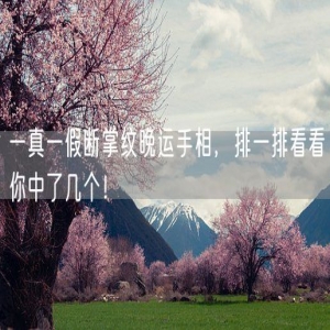 一真一假断掌纹晚运手相，排一排看看你中了几个！