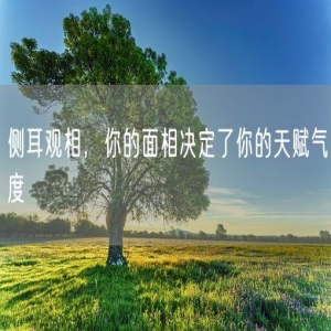 侧耳观相，你的面相决定了你的天赋气度