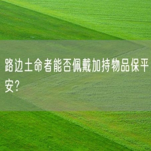 路边土命者能否佩戴加持物品保平安？