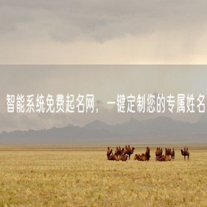 智能系统免费起名网，一键定制您的专属姓名