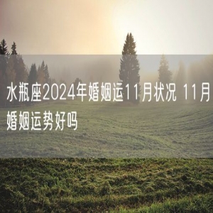 水瓶座2024年婚姻运11月状况 11月婚姻运势好吗