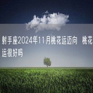 射手座2024年11月桃花运迈向  桃花运很好吗