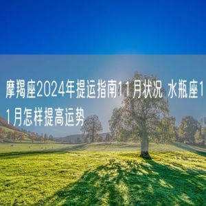 摩羯座2024年提运指南11月状况 水瓶座11月怎样提高运势