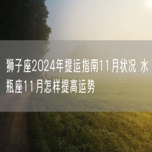 狮子座2024年提运指南11月状况 水瓶座11月怎样提高运势