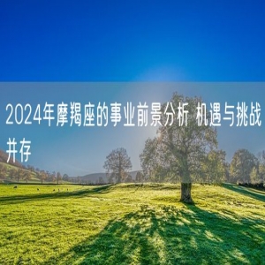 2024年摩羯座的事业前景分析 机遇与挑战并存