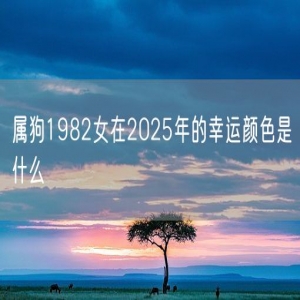 属狗1982女在2025年的幸运颜色是什么