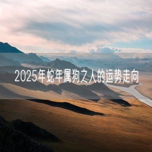 2025年蛇年属狗之人的运势走向