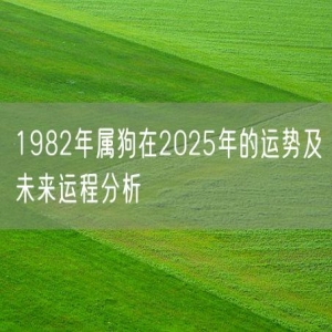 1982年属狗在2025年的运势及未来运程分析