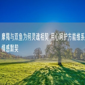 摩羯与双鱼为何灵魂相契 用心呵护方能维系情感默契