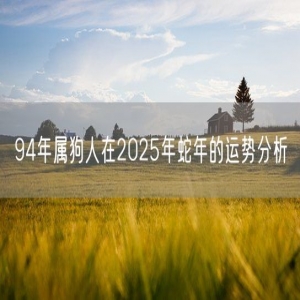 94年属狗人在2025年蛇年的运势分析