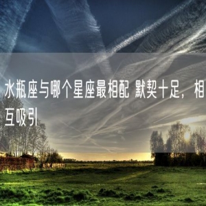 水瓶座与哪个星座最相配 默契十足，相互吸引