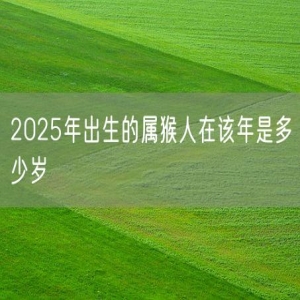 2025年出生的属猴人在该年是多少岁