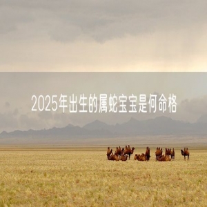 2025年出生的属蛇宝宝是何命格