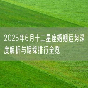 2025年6月十二星座婚姻运势深度解析与姻缘排行全览